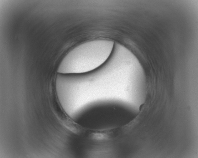 X0000062920167200601131501