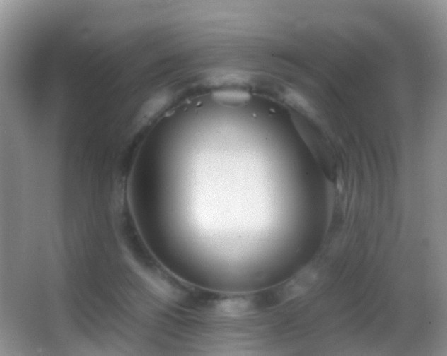 X0000062920168200601131501