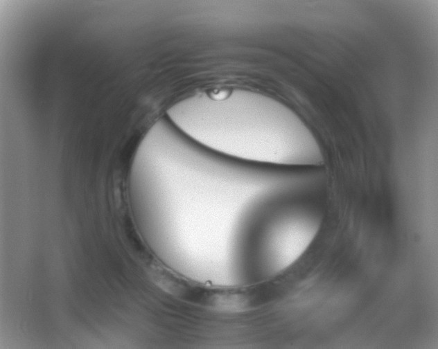 X0000062920169200601131501