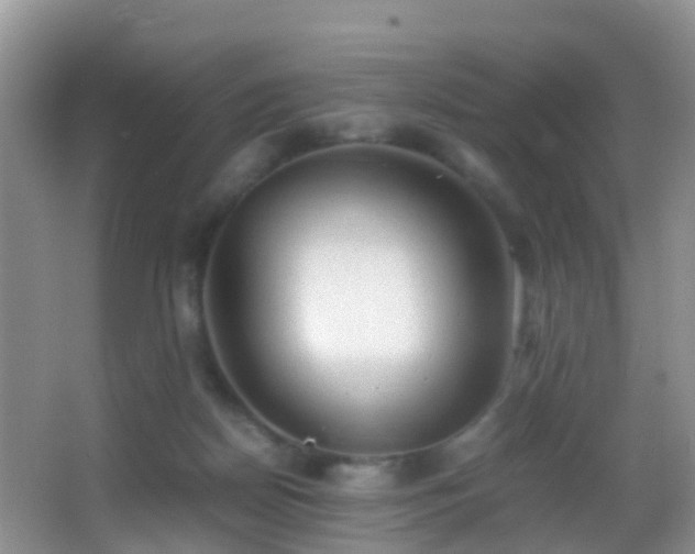 X0000062920170200601131501