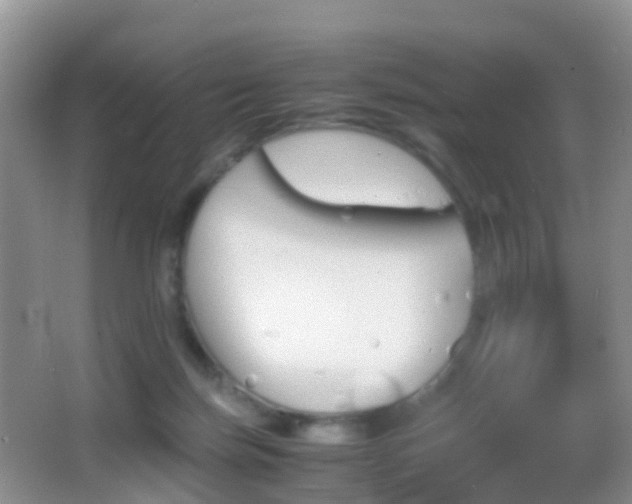 X0000062920171200601131501