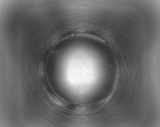 X0000062920174200601131501