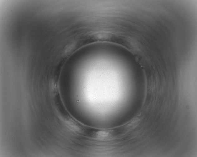 X0000062920176200601131501