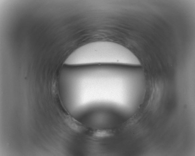 X0000062920177200601131501