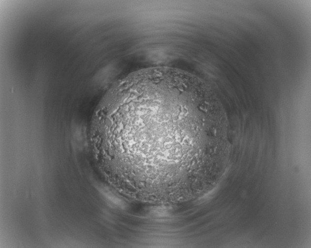 X0000062920182200601131501