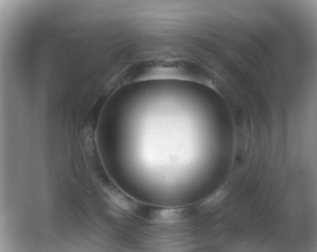 X0000062920184200601131501