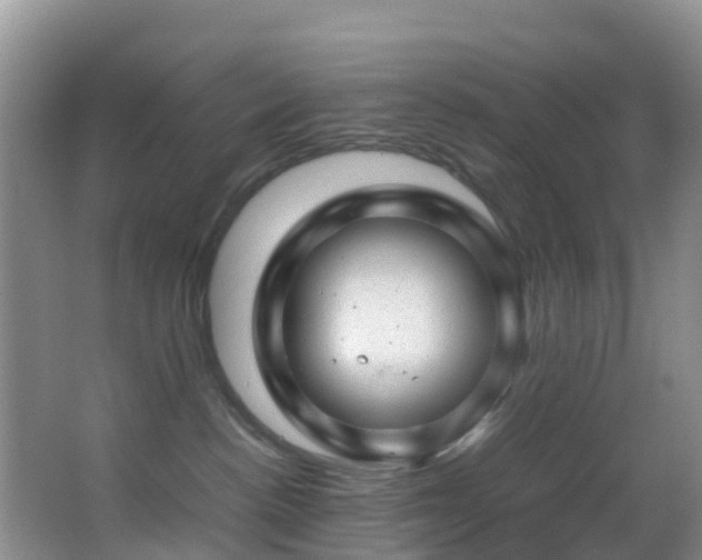 X0000062920188200601131501
