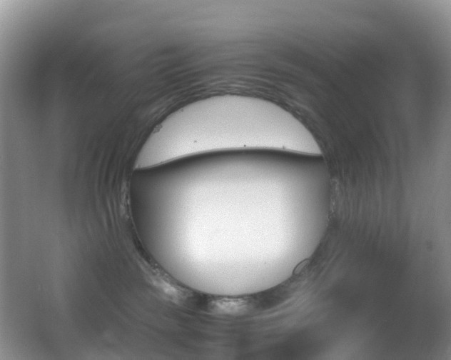 X0000062920189200601131501