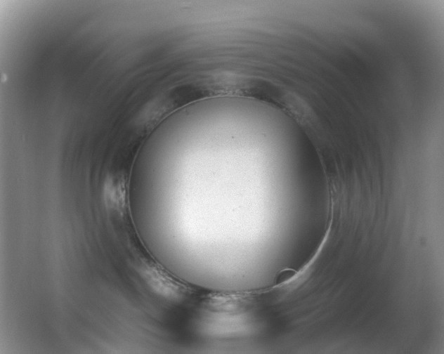 X0000062920190200601131501