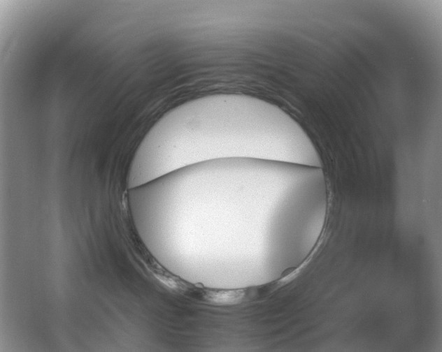 X0000062920191200601131501