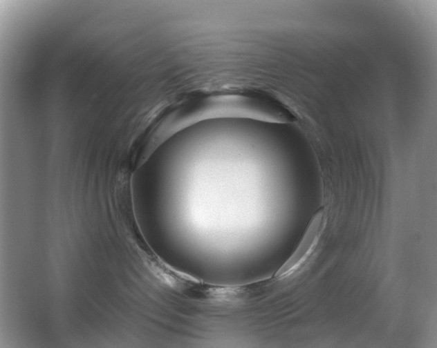 X0000062920192200601131502