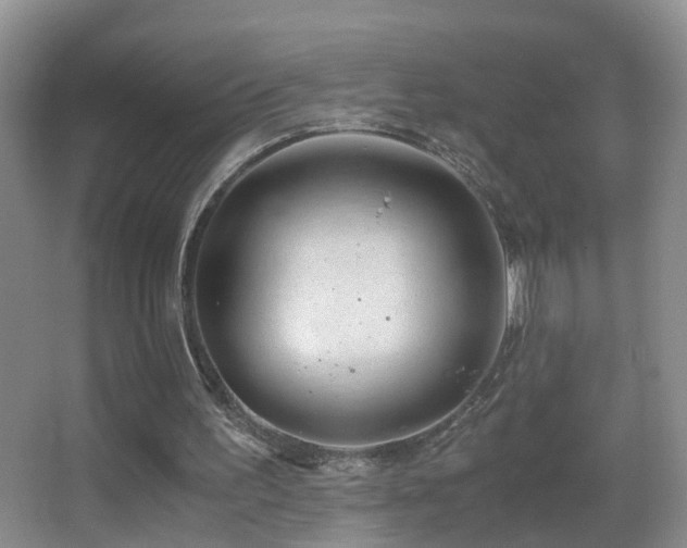 X0000062920195200601131501