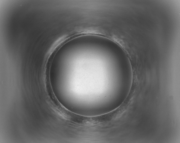 X0000062920199200601131501