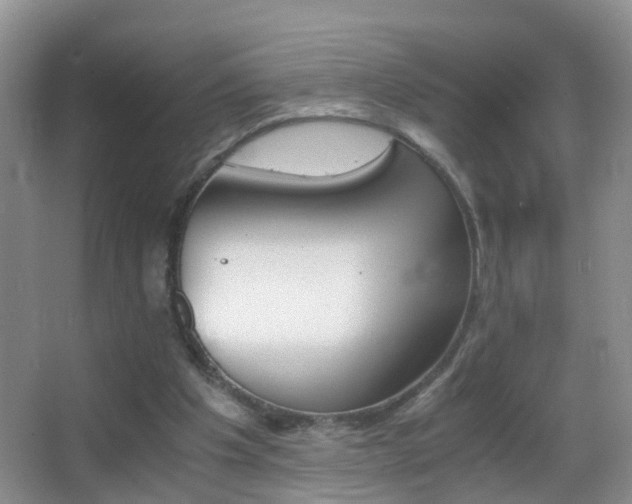 X0000062920201200601131501