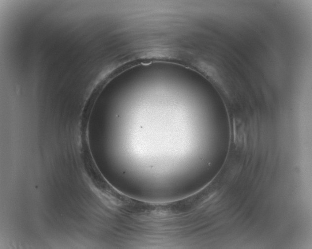X0000062920204200601131501