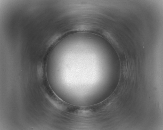 X0000062920208200601131500