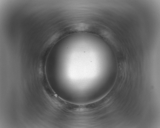X0000062920212200601131500