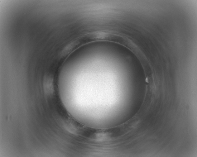X0000062920216200601131500