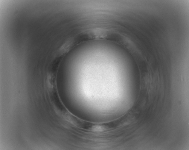 X0000062920218200601131500