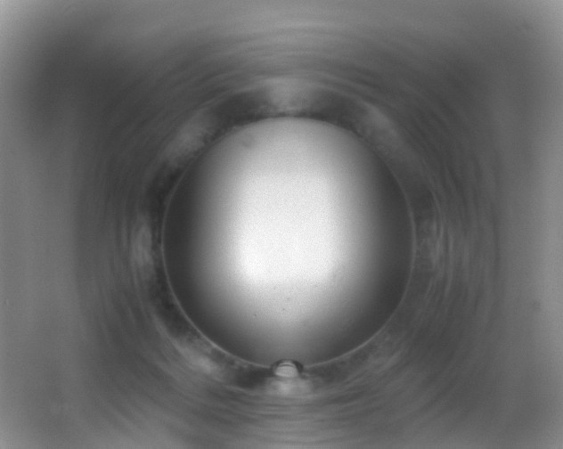 X0000062920220200601131500