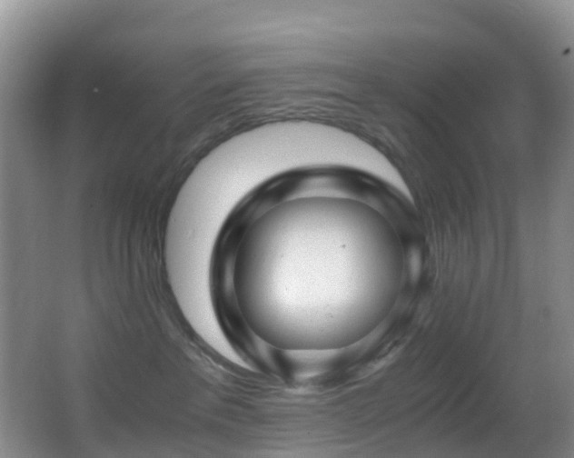 X0000062920237200601131500