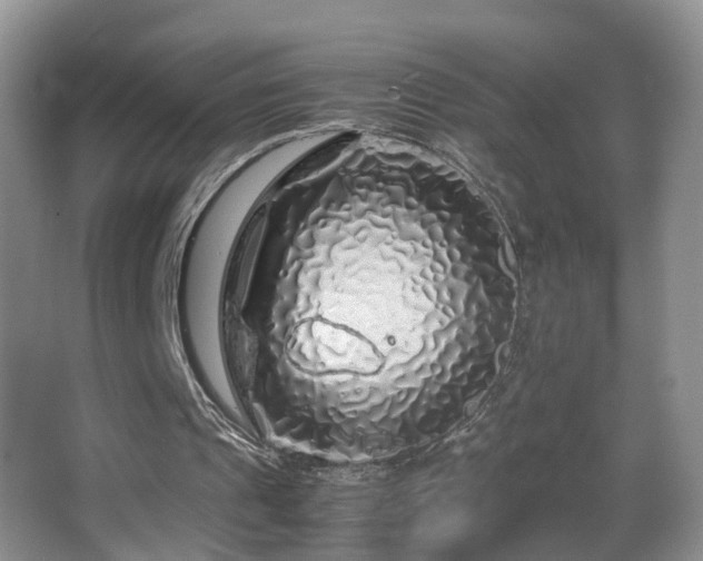 X0000062920241200601131459