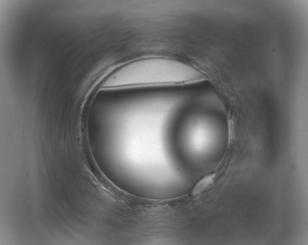 X0000062920243200601131459