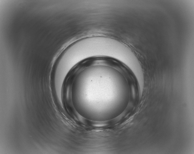 X0000062920244200601131459