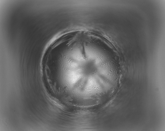 X0000062920246200601131459