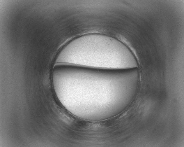 X0000062920249200601131459