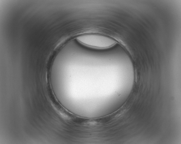 X0000062920253200601131459