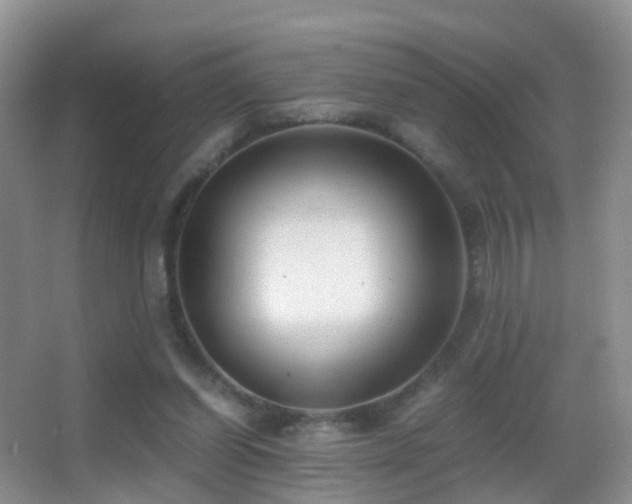 X0000062920254200601131459