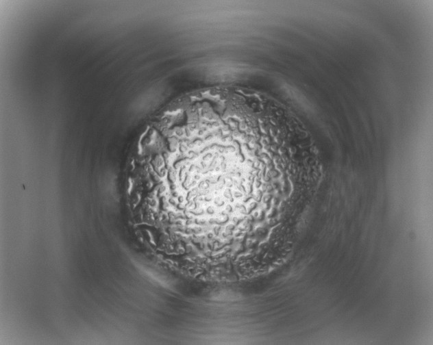 X0000062920258200601131459