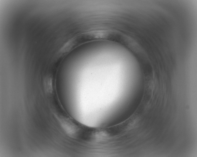 X0000062920262200601131459