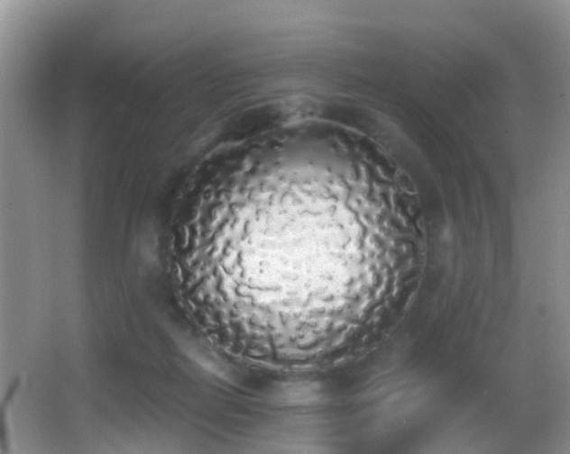 X0000062920266200601131500