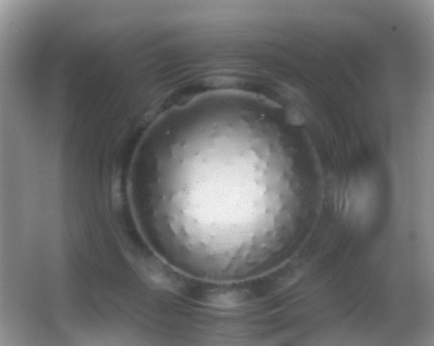 X0000062920267200601131500