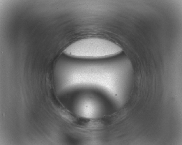 X0000062920270200601131500