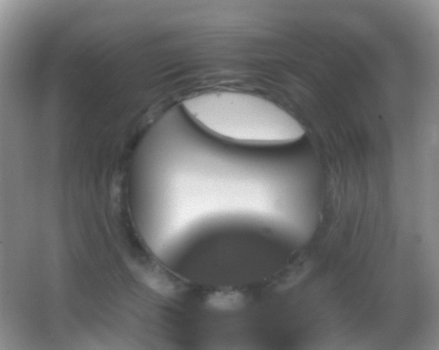 X0000062920271200601131500