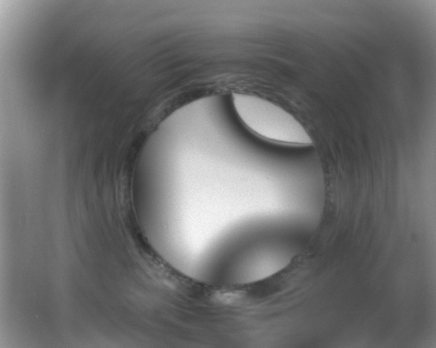 X0000062920283200601131500