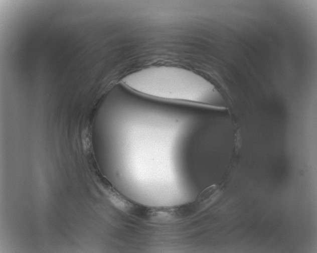 X0000062920285200601131500