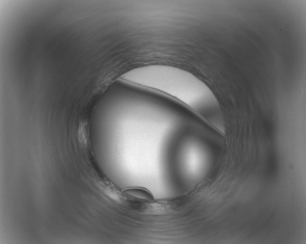X0000062920286200601131500