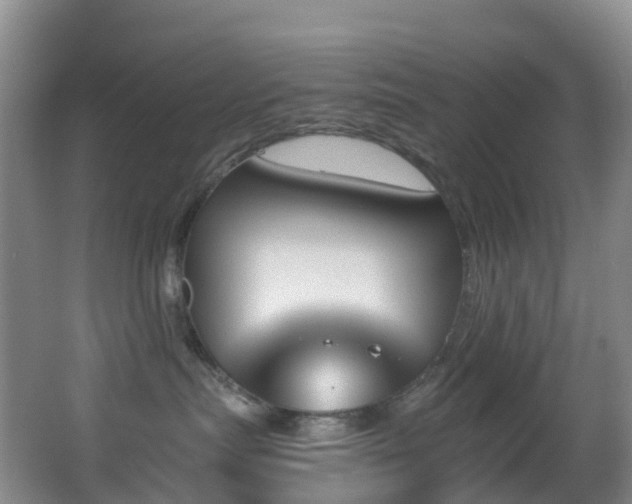 X0000062920287200601131500