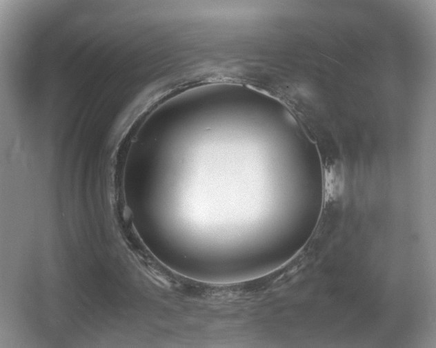 X0000062920291200601131459