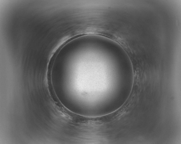 X0000062920292200601131459