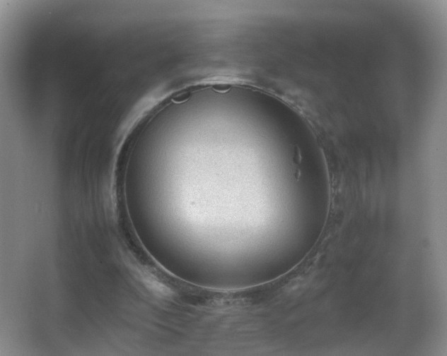 X0000062920296200601131459