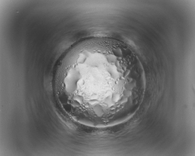 X0000062920299200601131459
