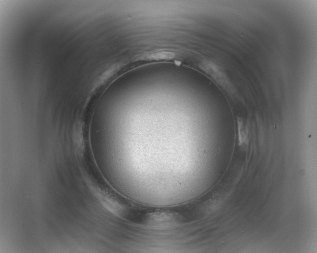 X0000062920300200601131459