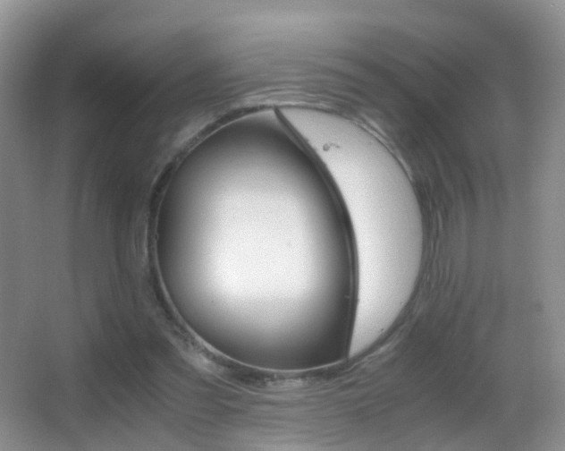 X0000062920301200601131459