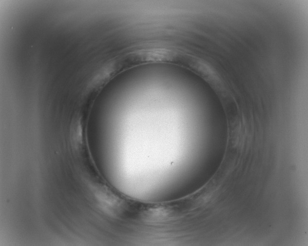 X0000062920310200601131459