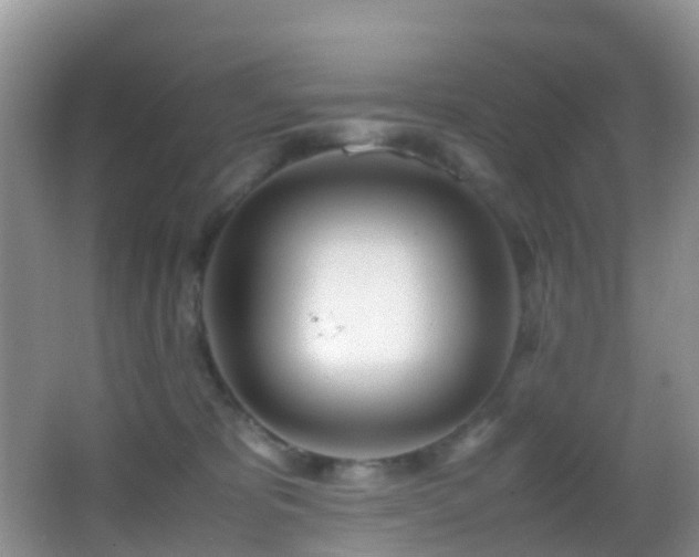 X0000062920325200601131458